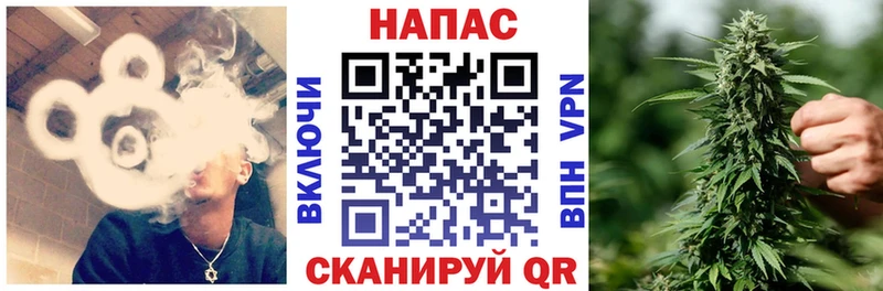 Галлюциногенные грибы Алушта
