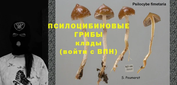 ПСИЛОЦИБИНОВЫЕ ГРИБЫ Алексин