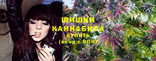 ПСИЛОЦИБИНОВЫЕ ГРИБЫ Алексин