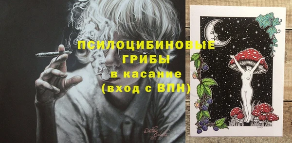 сатива Алексеевка