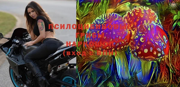 ПСИЛОЦИБИНОВЫЕ ГРИБЫ Алексин