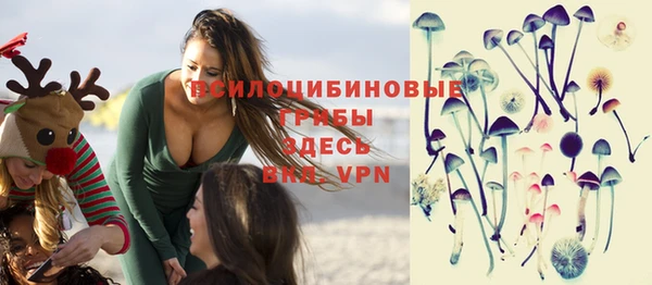 сатива Алексеевка