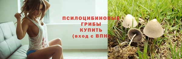 ПСИЛОЦИБИНОВЫЕ ГРИБЫ Алексин