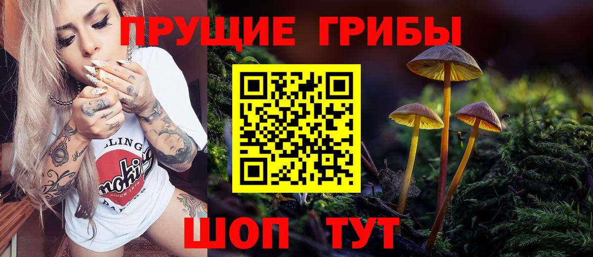 Алушта  цены   Вход с VPN  Галлюциногенные грибы Magic Shrooms  Псилоцибиновые грибы мицелий 